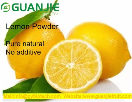 spray dried lemon powder spray dried lemon powder