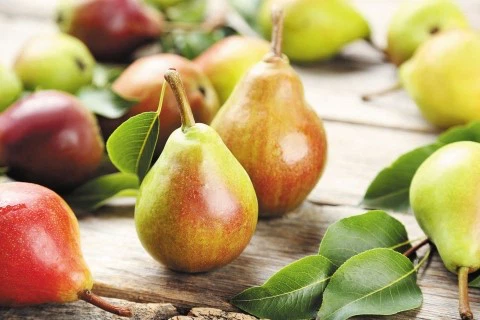 Pear Powder Pear Powder